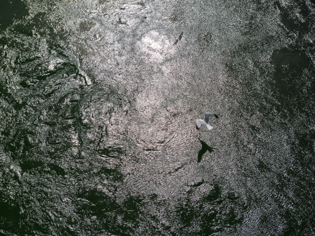 Stage photo nature en Bretagne – Capturez la beauté sauvage des paysages bretons avec des conseils de pro