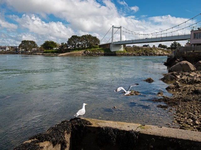 Apprendre la photo en Bretagne – Participez à un stage photo immersif en pleine nature