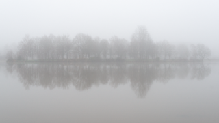 Brume épaisse enveloppant l’étang du Beauché, atmosphère mystérieuse