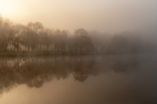 Atmosphère feutrée d’un lever du jour brumeux sur l’étang du Beauché