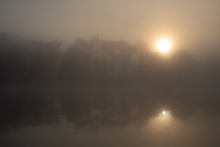 Brume épaisse enveloppant l’étang du Beauché, atmosphère mystérieuse
