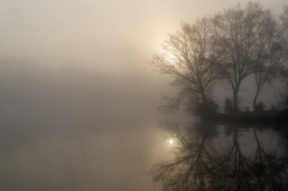 Jeu d’ombres et de lumières à travers les arbres bordant l’étang du Beauché