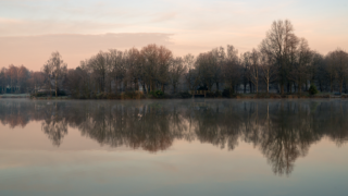 Miroir d’eau paisible à l'étang du Beauché de Carentoir