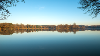 Miroir d’eau paisible et matinal à l'étang du Beauché de Carentoir