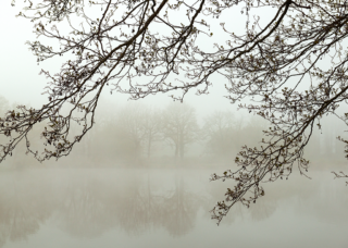 Brume matinale sur l’étang du Beauché à Carentoir, Morbihan