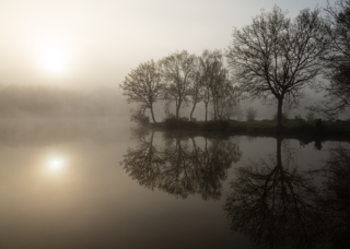 Jeu d’ombres et de lumières à travers les arbres bordant l’étang du Beauché