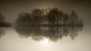 Brume épaisse enveloppant l’étang du Beauché, atmosphère mystérieuse