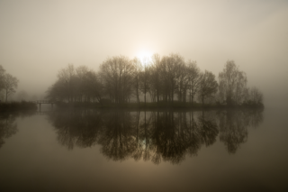 Bouleaux et reflets d’eau sous une lumière dorée en Bretagne