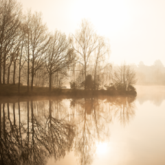 Rayons du soleil perçant la brume au-dessus de l’étang du Beauché