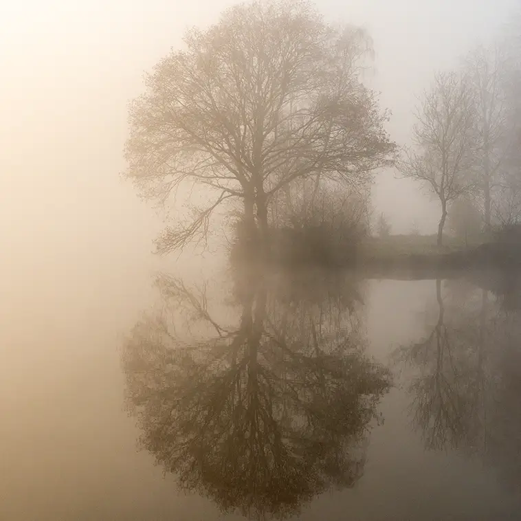 Étang du Beauché à Carentoir